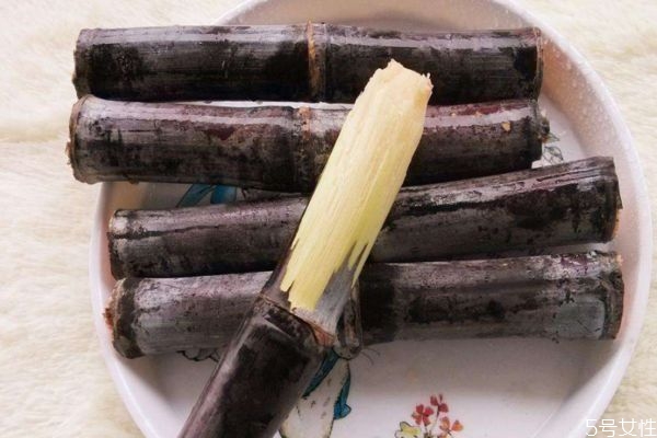 吃甘蔗會(huì)上火嗎 甘蔗發(fā)霉可以吃嗎 吃甘蔗會(huì)上火嗎 甘蔗發(fā)霉可以吃嗎