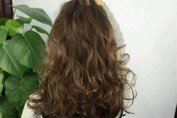 橄欖棕發(fā)色容易掉色嗎 橄欖棕在陽(yáng)光下是什么顏色