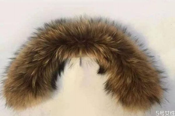 毛領(lǐng)變綠了還能補(bǔ)救嗎 毛領(lǐng)變綠怎么回事 毛領(lǐng)變綠了還能補(bǔ)救嗎 毛領(lǐng)變綠怎么回事