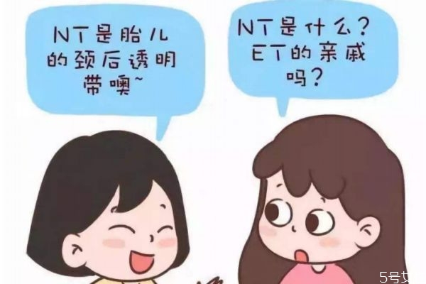 nt檢查可以什么時候做 nt檢查什么時候做最準確 nt檢查可以什么時候做 nt檢查什么時候做最準確
