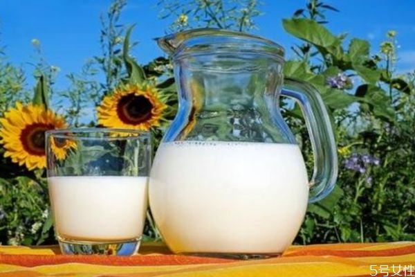 空腹可以喝牛奶嗎 喝牛奶要注意 空腹可以喝牛奶嗎 喝牛奶要注意