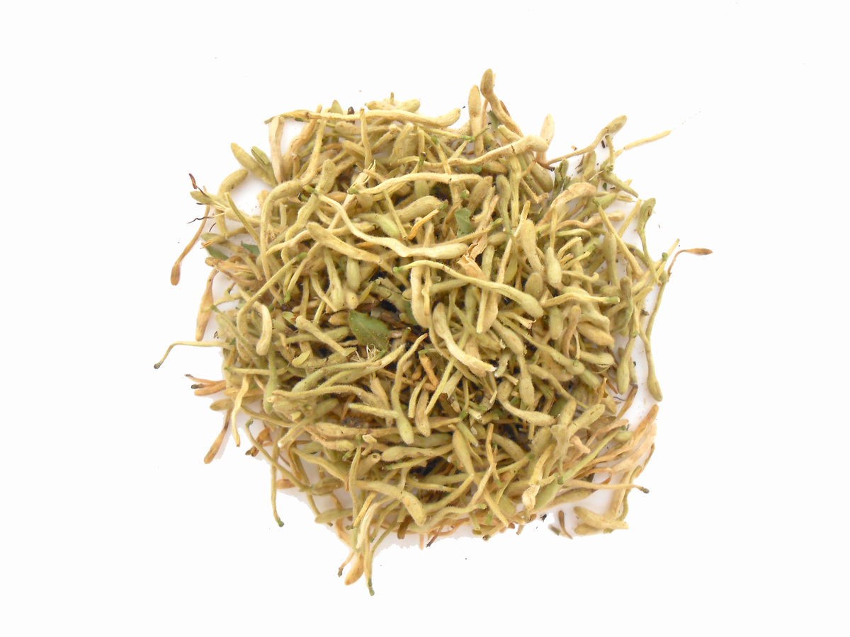 中藥金銀花的功效 金銀花泡水為什么不能天天喝 中藥金銀花的功效 金銀花泡水為什么不能天天喝