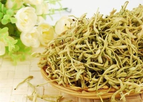 中藥金銀花的功效 金銀花泡水為什么不能天天喝 中藥金銀花的功效 金銀花泡水為什么不能天天喝