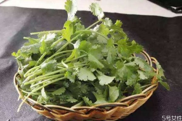 吃香菜會上火嗎 吃香菜對男人有害處嗎 吃香菜會上火嗎 吃香菜對男人有害處嗎