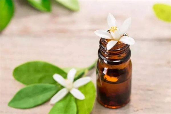 精油按摩減肥會(huì)反彈嗎 精油按摩減肥多久見(jiàn)效 精油按摩減肥會(huì)反彈嗎 精油按摩減肥多久見(jiàn)效