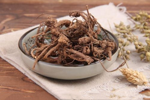 隔山香的功能主治 隔山香的作用 隔山香的功能主治 隔山香的作用