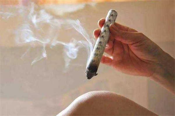 艾灸減肥一個(gè)月瘦多少 艾灸減肥多長時(shí)間能見效 艾灸減肥一個(gè)月瘦多少 艾灸減肥多長時(shí)間能見效