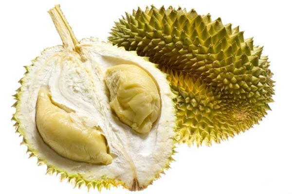 榴蓮能用暖氣催熟嗎 冰凍榴蓮的口感怎么樣 榴蓮能用暖氣催熟嗎 冰凍榴蓮的口感怎么樣