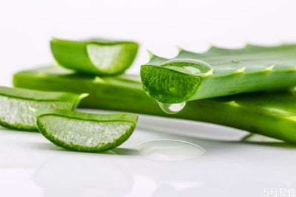 蘆薈膠用久了會長毛嗎 每天涂蘆薈膠睡覺好嗎 蘆薈膠用久了會長毛嗎 每天涂蘆薈膠睡覺好嗎