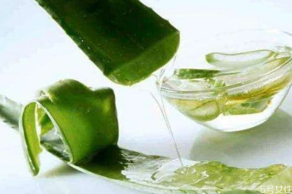 蘆薈膠用久了會長毛嗎 每天涂蘆薈膠睡覺好嗎 蘆薈膠用久了會長毛嗎 每天涂蘆薈膠睡覺好嗎