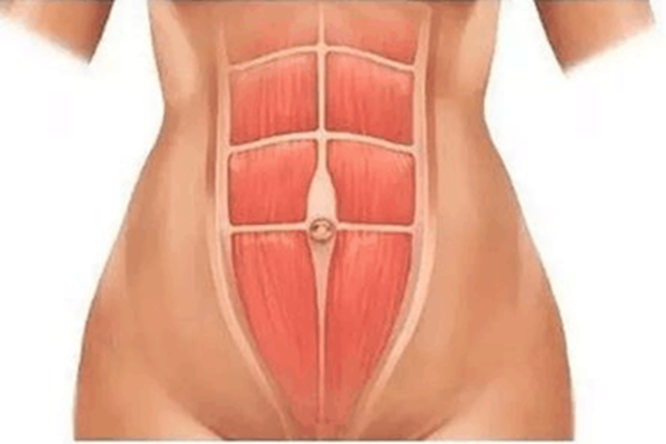 腹直肌怎么練 鍛煉腹直肌的方法 腹直肌怎么練 鍛煉腹直肌的方法