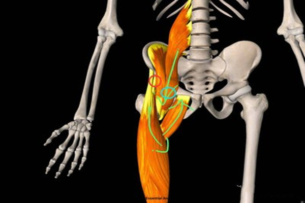 鍛煉腹直肌要注意什么 鍛煉腹直肌的注意事項(xiàng) 鍛煉腹直肌要注意什么 鍛煉腹直肌的注意事項(xiàng)