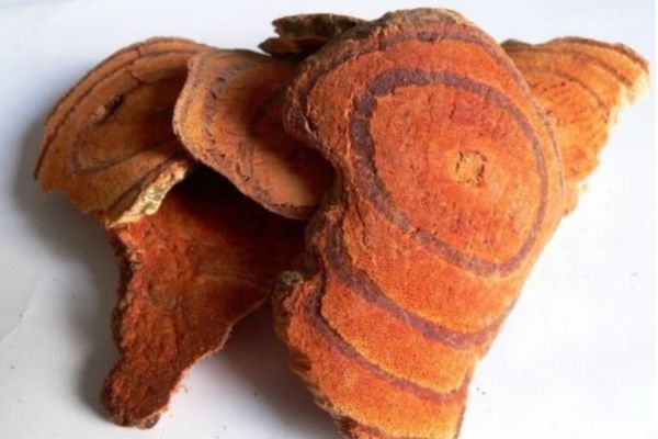 什么是雞血藤 雞血藤是什么 什么是雞血藤 雞血藤是什么