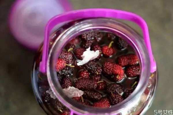 桑葚可以泡酒喝嗎 桑葚泡酒可以喝嗎 桑葚可以泡酒喝嗎 桑葚泡酒可以喝嗎