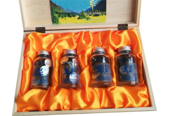 蟲草含片怎么吃 蟲草含片必須含著吃嗎 蟲草含片怎么吃 蟲草含片必須含著吃嗎