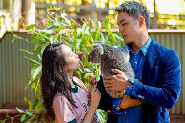 求婚用多少玫瑰花合適 求婚用什么顏色的玫瑰好 求婚用多少玫瑰花合適 求婚用什么顏色的玫瑰好