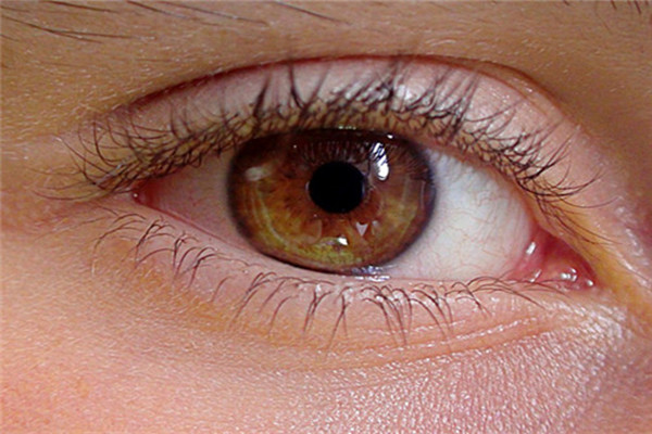 怎么辨別干紋和細(xì)紋 干紋和細(xì)紋有什么不一樣 怎么辨別干紋和細(xì)紋 干紋和細(xì)紋有什么不一樣