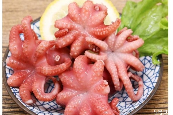 八爪魚的墨汁可以吃嗎 八爪魚的墨汁能吃嗎 八爪魚的墨汁可以吃嗎 八爪魚的墨汁能吃嗎