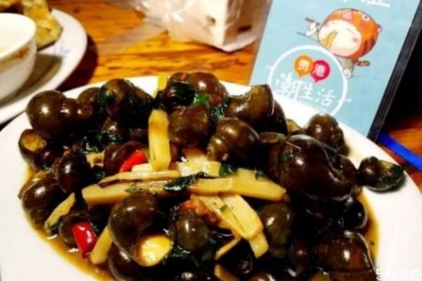 田螺怎么做美味 美味田螺的做法 田螺怎么做美味 美味田螺的做法