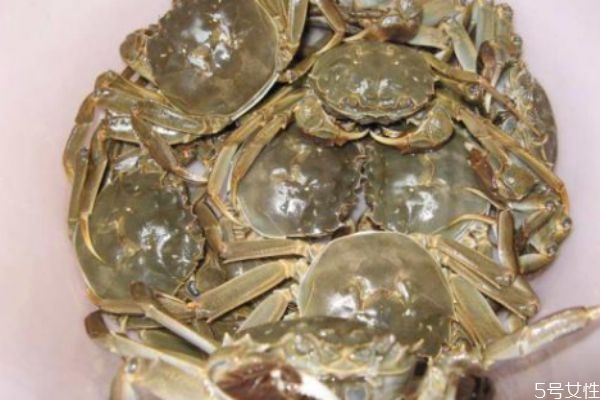 螃蟹應(yīng)該怎么清洗 怎么清洗螃蟹好 螃蟹應(yīng)該怎么清洗 怎么清洗螃蟹好