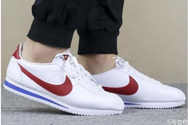 阿甘鞋和鬼冢虎的區(qū)別 阿甘鞋和鬼?；⒌牟煌?><p><strong>阿甘鞋和鬼?；⒌膮^(qū)別 阿甘鞋和鬼?；⒌牟煌?/strong></p></a></li> <li><a href=