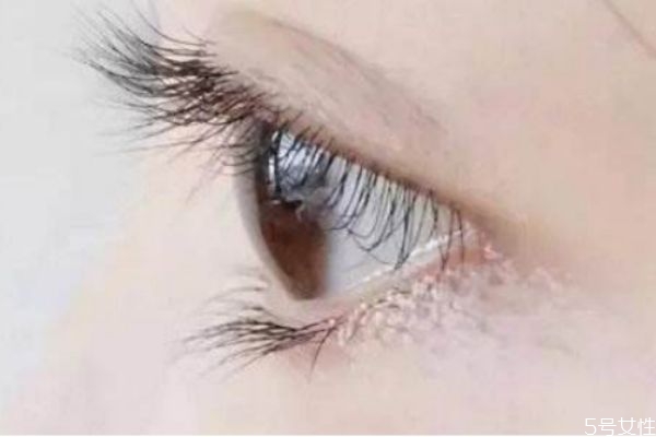 燙睫毛對睫毛有損傷嗎 燙了睫毛怎么恢復原狀 燙睫毛對睫毛有損傷嗎 燙了睫毛怎么恢復原狀