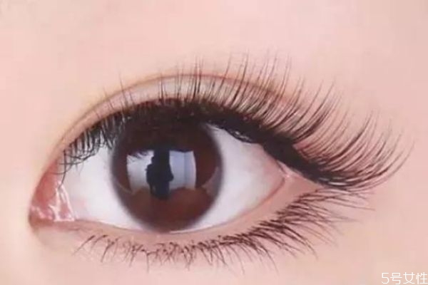 燙睫毛對睫毛有沒有損傷 燙睫毛會(huì)傷睫毛嗎 燙睫毛對睫毛有沒有損傷 燙睫毛會(huì)傷睫毛嗎