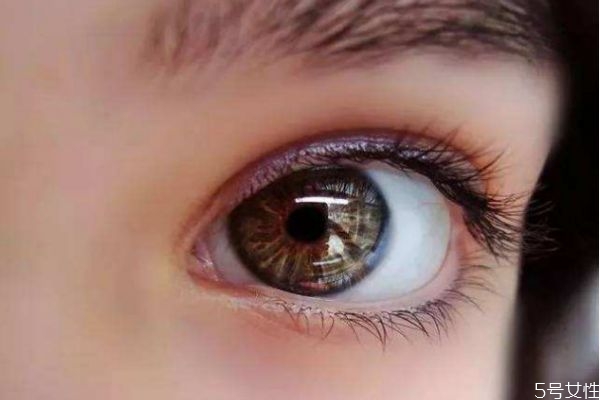 燙睫毛對睫毛有損傷嗎 燙了睫毛怎么恢復原狀 燙睫毛對睫毛有損傷嗎 燙了睫毛怎么恢復原狀