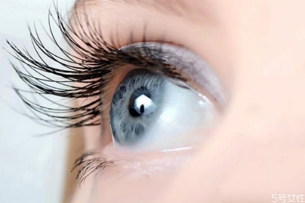 燙睫毛對睫毛有損傷嗎 燙了睫毛怎么恢復原狀 燙睫毛對睫毛有損傷嗎 燙了睫毛怎么恢復原狀