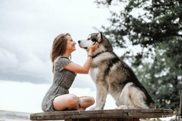 老公變心了怎么挽回 挽回老公感情的方法 老公變心了怎么挽回 挽回老公感情的方法