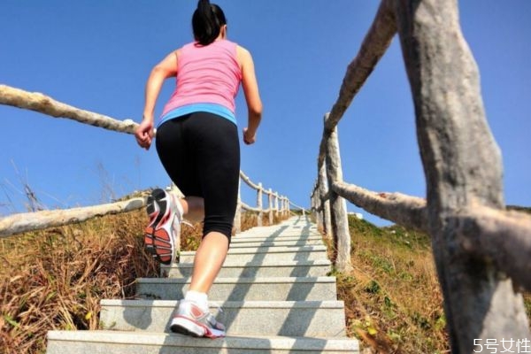 爬樓梯可以提臀嗎 爬樓梯能提臀嗎 爬樓梯可以提臀嗎 爬樓梯能提臀嗎