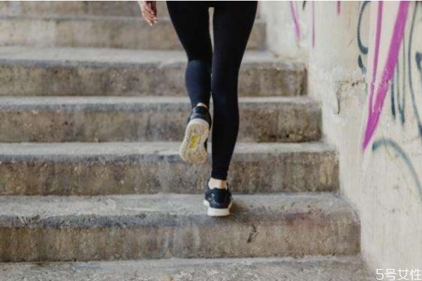 爬樓梯可以提臀嗎 爬樓梯能提臀嗎 爬樓梯可以提臀嗎 爬樓梯能提臀嗎