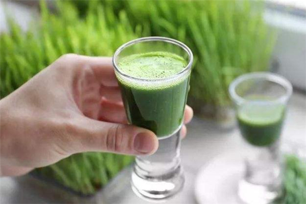 道田青汁能減肥嗎 道田青汁效果怎么樣 道田青汁能減肥嗎 道田青汁效果怎么樣