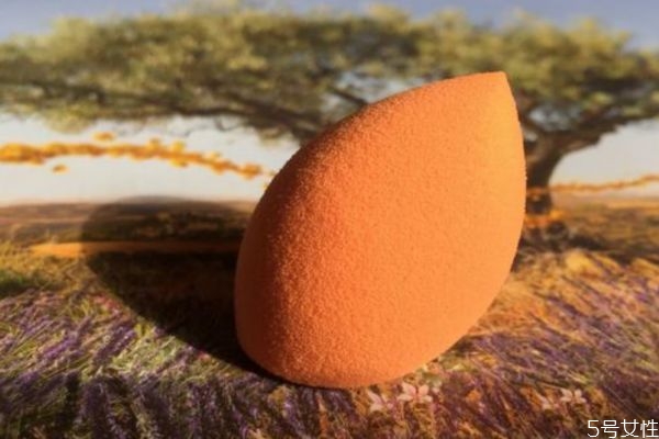 real techniques美妝蛋哪款好用 英國rt美妝蛋好物盤點 real techniques美妝蛋哪款好用 英國rt美妝蛋好物盤點