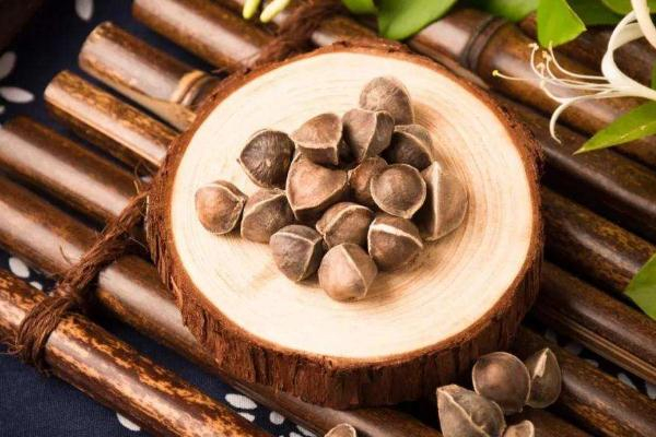 辣木籽吃多了會怎么樣 辣木籽吃多了會中毒嗎 辣木籽吃多了會怎么樣 辣木籽吃多了會中毒嗎