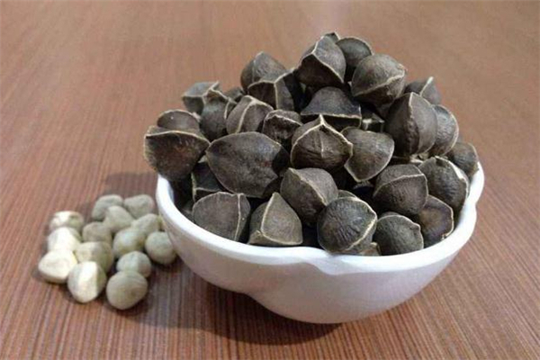 辣木籽可以減肥嗎 辣木籽怎么吃能減肥 辣木籽可以減肥嗎 辣木籽怎么吃能減肥