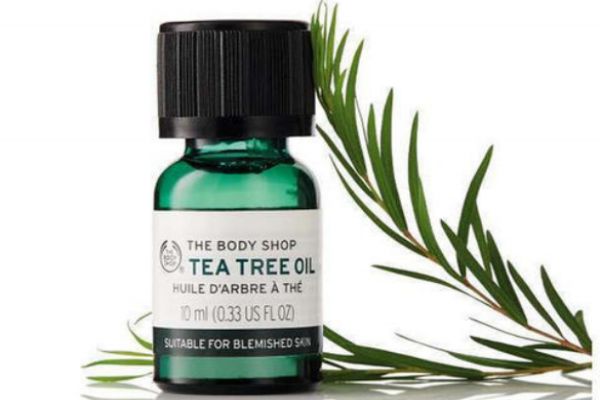 茶樹精油的作用 茶樹精油的功效 茶樹精油的作用 茶樹精油的功效