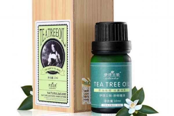 茶樹精油的作用 茶樹精油的功效 茶樹精油的作用 茶樹精油的功效