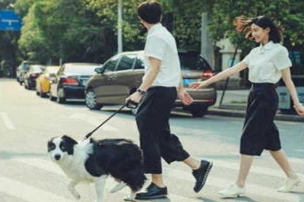 分手后復(fù)合的感情會(huì)更好嗎 分手后復(fù)合的感情能像以前一樣嗎 分手后復(fù)合的感情會(huì)更好嗎 分手后復(fù)合的感情能像以前一樣嗎