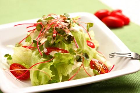 生菜沙拉有哪些食材 生菜沙拉怎么做好吃 生菜沙拉有哪些食材 生菜沙拉怎么做好吃