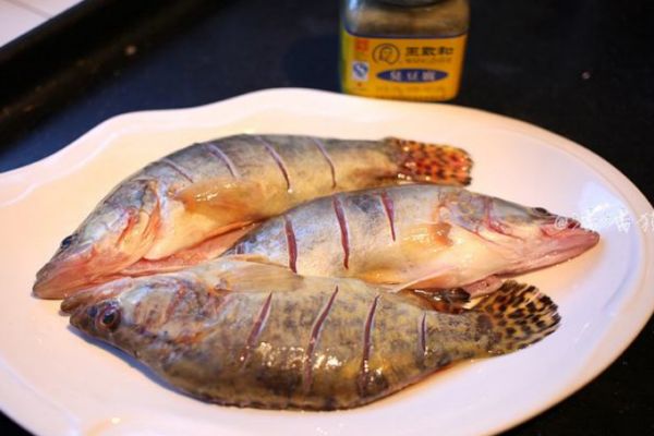 臭鱖魚怎么做好吃 臭鱖魚的正宗做法 臭鱖魚怎么做好吃 臭鱖魚的正宗做法