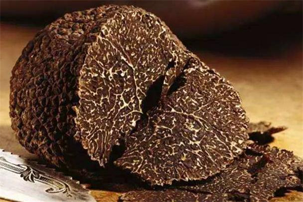 黑松露能使白發(fā)變黑嗎 黑松露能治白發(fā)嗎 黑松露能使白發(fā)變黑嗎 黑松露能治白發(fā)嗎