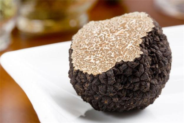 黑松露能使白發(fā)變黑嗎 黑松露能治白發(fā)嗎 黑松露能使白發(fā)變黑嗎 黑松露能治白發(fā)嗎