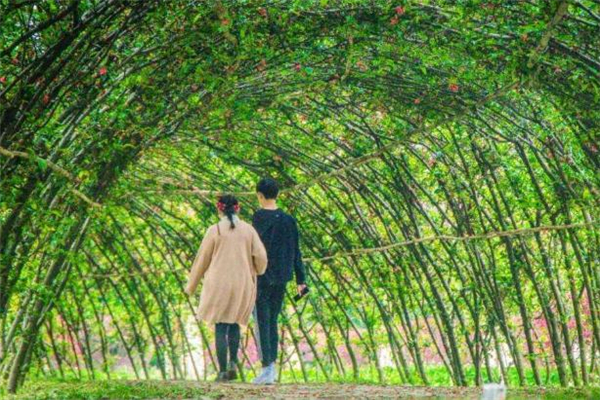 劈腿復(fù)合后會更珍惜嗎 劈腿復(fù)合后還會重蹈覆轍嗎 劈腿復(fù)合后會更珍惜嗎 劈腿復(fù)合后還會重蹈覆轍嗎