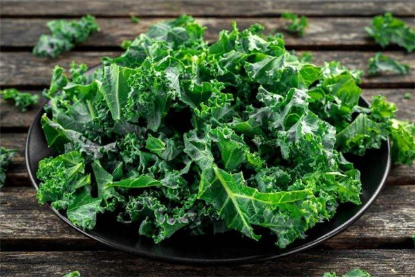 羽衣甘藍(lán)是紫甘藍(lán)嗎 羽衣甘藍(lán)和紫甘藍(lán)的區(qū)別 羽衣甘藍(lán)是紫甘藍(lán)嗎 羽衣甘藍(lán)和紫甘藍(lán)的區(qū)別