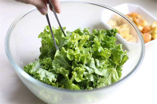 羽衣甘藍(lán)可以給寶寶吃嗎 羽衣甘藍(lán)怎么做給寶寶吃 羽衣甘藍(lán)可以給寶寶吃嗎 羽衣甘藍(lán)怎么做給寶寶吃