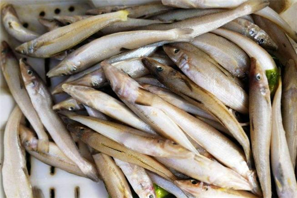 沙丁魚什么人不適合吃 糖尿病能吃沙丁魚嗎 沙丁魚什么人不適合吃 糖尿病能吃沙丁魚嗎