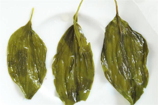 丁香茶對肝臟有害嗎 丁香茶對腎臟有危害嗎 丁香茶對肝臟有害嗎 丁香茶對腎臟有危害嗎