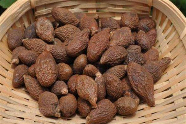 胖大?？梢灾温匝恃讍?胖大?？梢灾慰人詥?></p><h3>胖大海怎么泡效果好</h3><p>如果你想泡胖大海，一次放幾顆在杯子里就好，用沸水泡，然后將胖大海的藥湯含在自己的口中幾分鐘，最后才慢慢地吞下。這里有一個提示哦，泡胖大海一定要用100度的沸水哦，不然，會失去胖大海的藥效的。如果你喉嚨痛的話，建議每天飲用一次胖大海就好了。</p><p style=