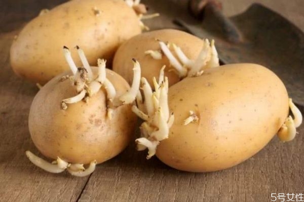 土豆長芽削掉能吃嗎 土豆長芽還可以吃嗎 土豆長芽削掉能吃嗎 土豆長芽還可以吃嗎